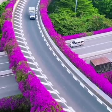 Sodhowaada asxaabey meesha igaa fogeya