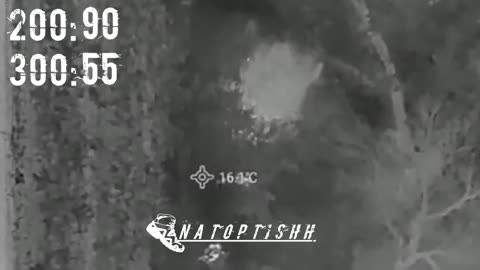 ロシア軍によるリマン・ペールヴィ南側の森林への攻撃
