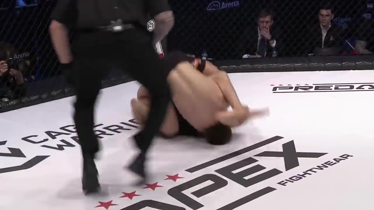 Top MMA Finishes 2023- Knockouts & Submissions