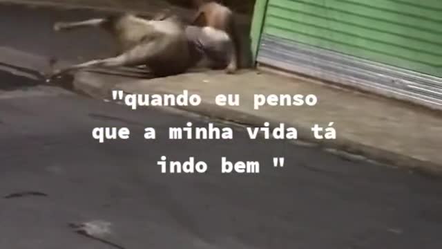 ooonwww gente sempre tenho pena dos cavalos tanto em memes quanto em series e filmea