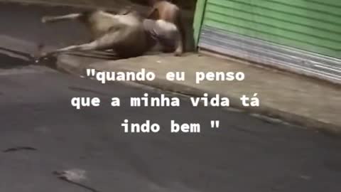 ooonwww gente sempre tenho pena dos cavalos tanto em memes quanto em series e filmea