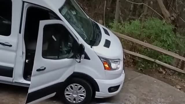 Hungry bear breaks into van, escapes with tasty snack