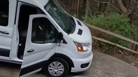 Hungry bear breaks into van, escapes with tasty snack