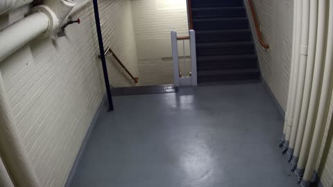 3891FHOB05Stair4_2021-01-05_07h20min01s867ms.mp4