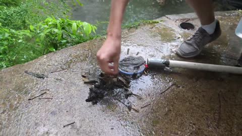 Baby Snapping Turtle vs Crayfish10