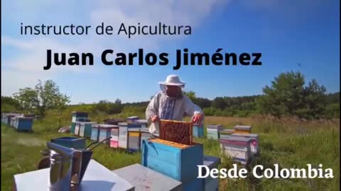 TEMA: JUZGANDO EL PASADO