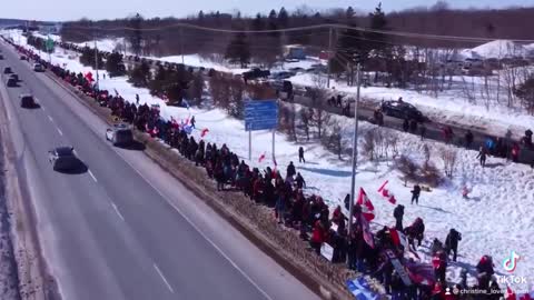Whoa ! Quebec is standing up for freedom !