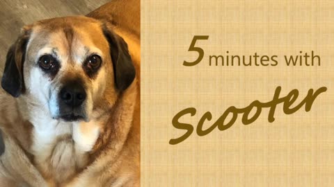 5 Minutes with Scooter - Excitement about the Return