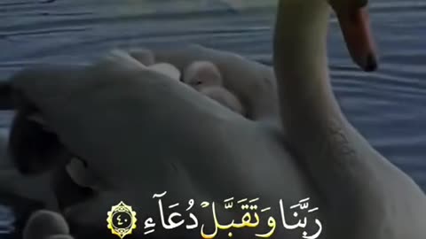 بلغوا عني ولو آية