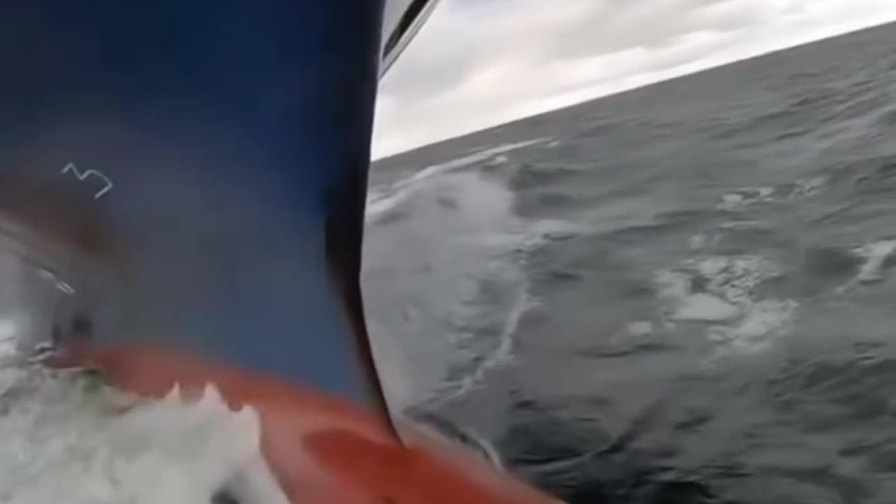 ⚓ PROTUBERANCIA, BULBO DE PROA⚓
