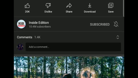 News & Prophecy [final]