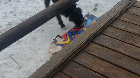 She is having fun..lol
