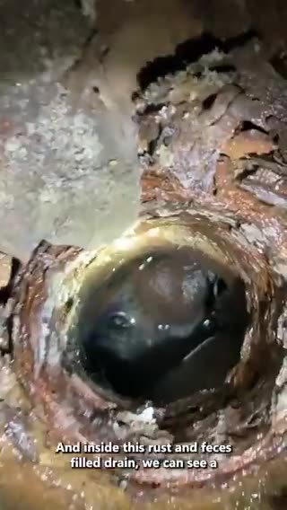 Wall Street Silver - It’s too early for this. 🔊 … sound on 🤣