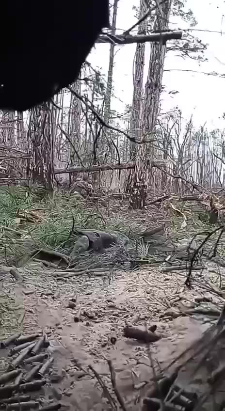 ‼️ The occupier was wounded after being dropped from a Ukrainian drone