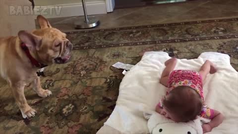 Adorable Babies Playing With Dogs and Cats - Funny Babies Compilation