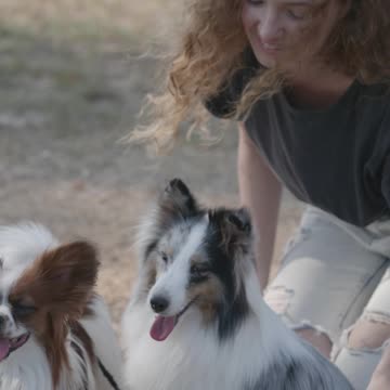 Woman playing with 2 twin pet dogs