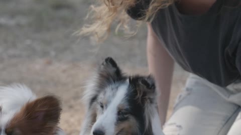 Woman playing with 2 twin pet dogs