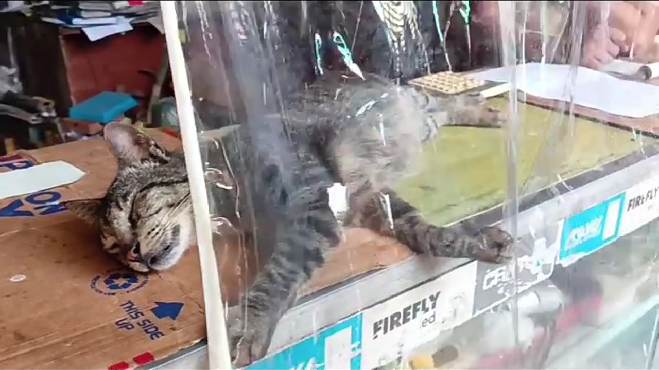 Sana all pa tulog-tulog lang