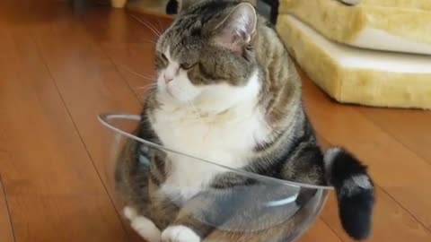 Cote is liquid, it's an axiom, but there's a lot of it.