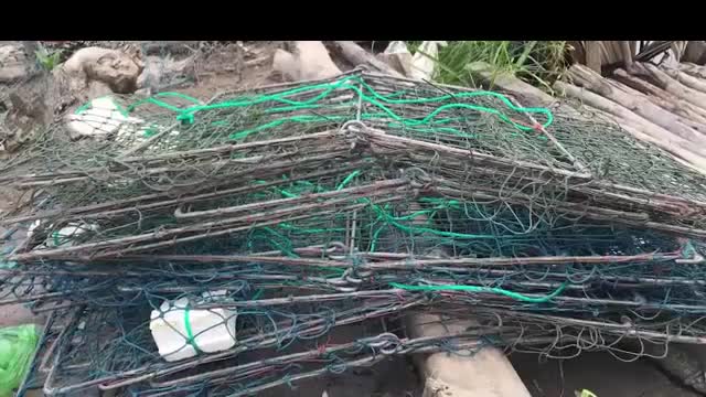 Mekong Delta River Crab