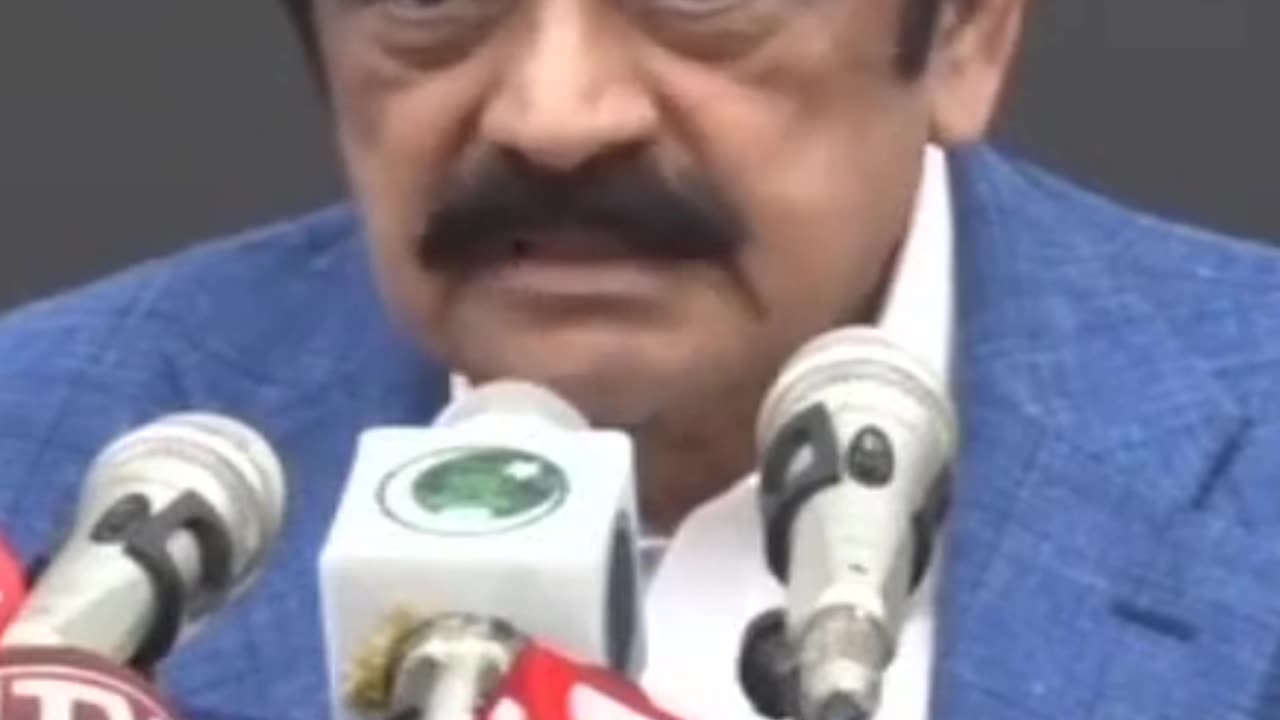 #shortsfeed #shortsvideo #viralvideo #statement #reels #pmln #pmlnleaders #ranasanaullah