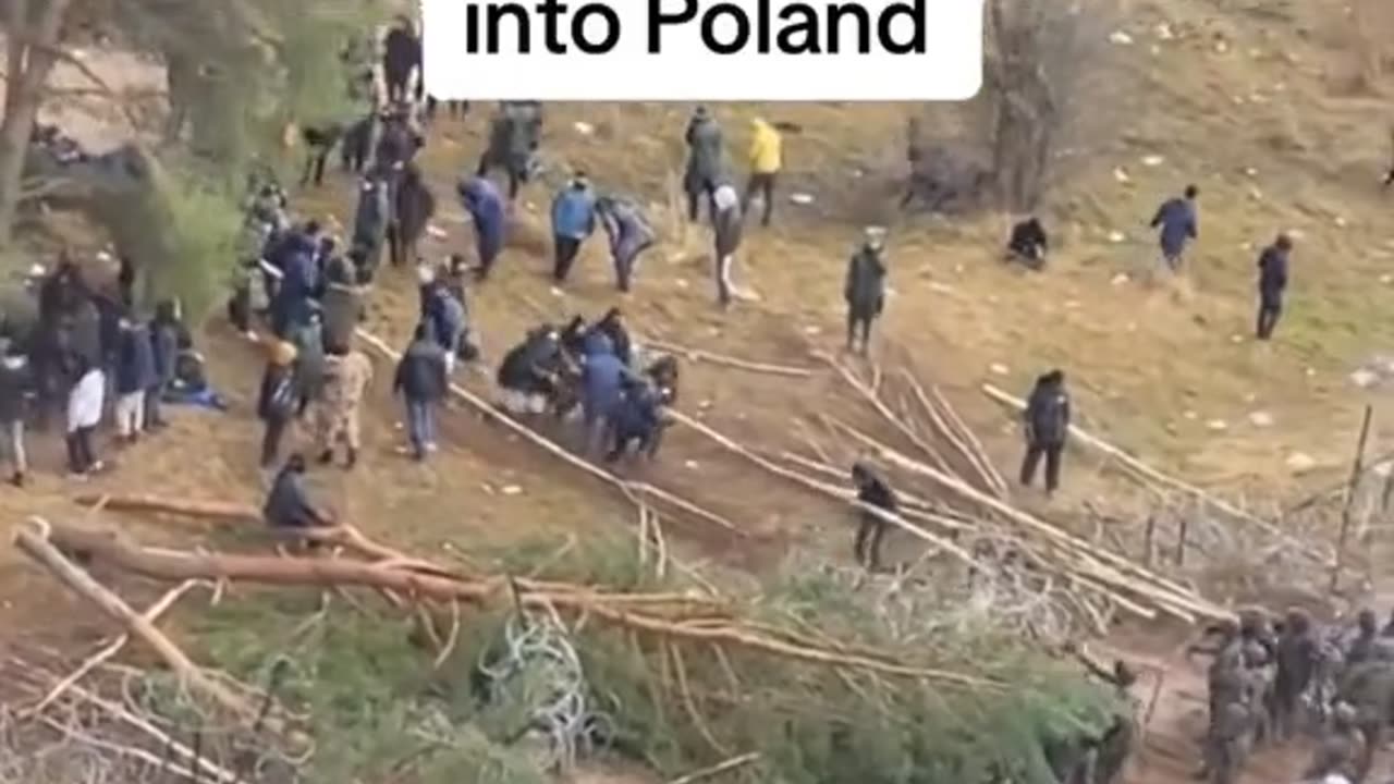 Poland did a great job