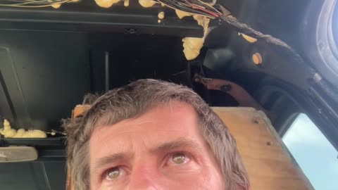 Why have I not been using TruthSocial?