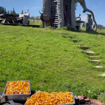 Bon Appetit in Austria ❤️