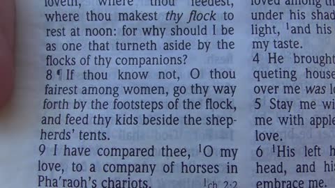 367. Pro 31 Thou Excellest Them All, and Christians 4 Cosmic Truth