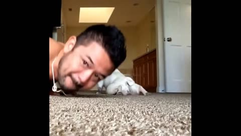 Dog doing push-ups with his owner