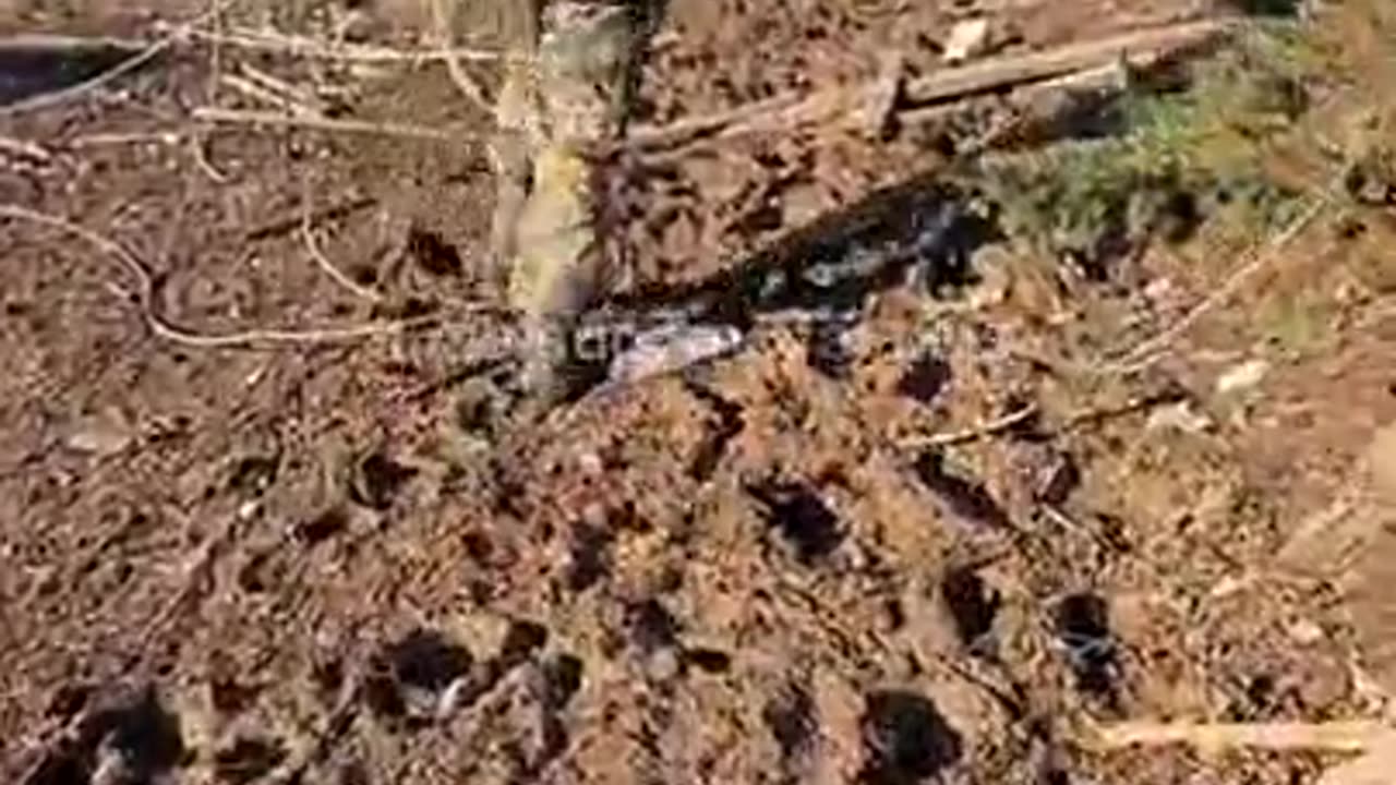 Prchající skupinky Ukrajinské armády z Bachmutu