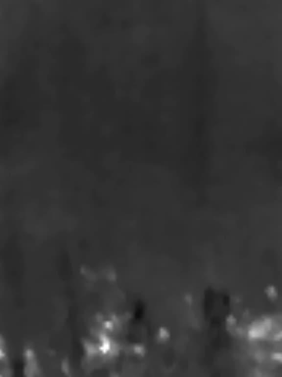 Infrared spectrum camera