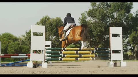 African American man jumping an obstacle with his Dressage horse
