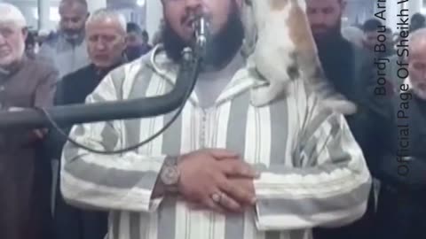 A live broadcast caught the moment a cat jumped on an imam leading Ramadan prayers