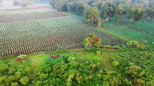 Naturaleza maravillosa