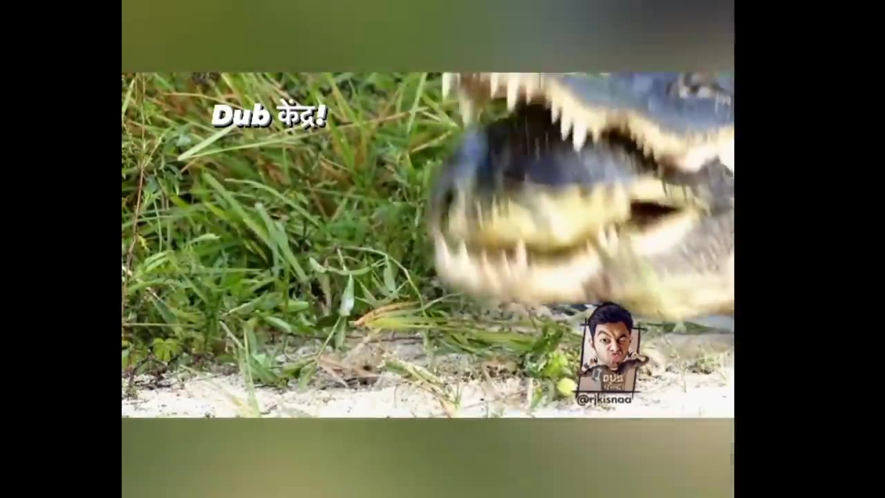 lolodile 🐊 funny dub video 😂 | lolodile sewa | crocodile funny video | rj kisna dub kendra