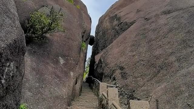 Every time I passed here, my eyes were firmly fixed on the stone between the cracks