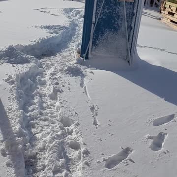 The morons decided to give up on shuffling snow