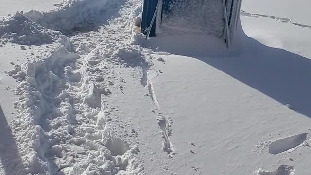 The morons decided to give up on shuffling snow