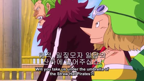 Luffy Grand Fleet 5600 Subordinates - One Piece English Subtitle ONEPIECE LAND