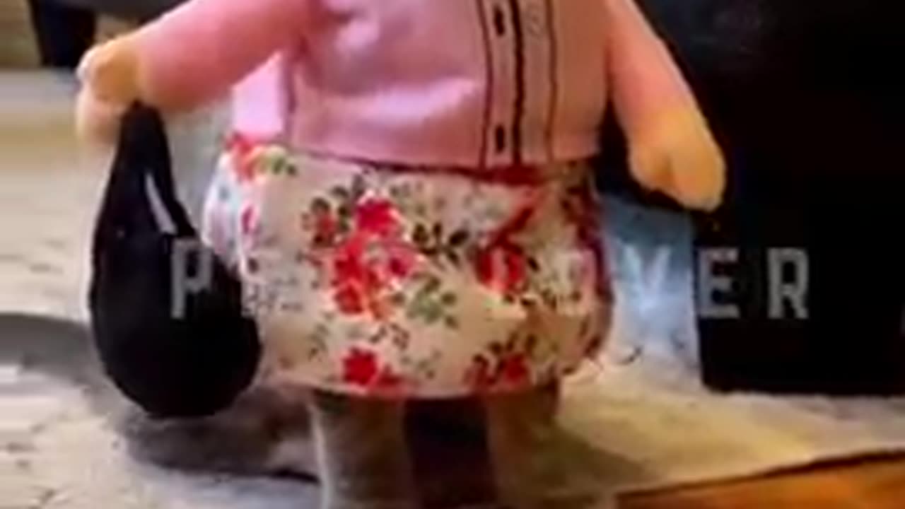 Look at this😂😂😂😂