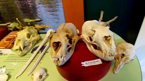 We are at a Nature Center today 10/12/22: