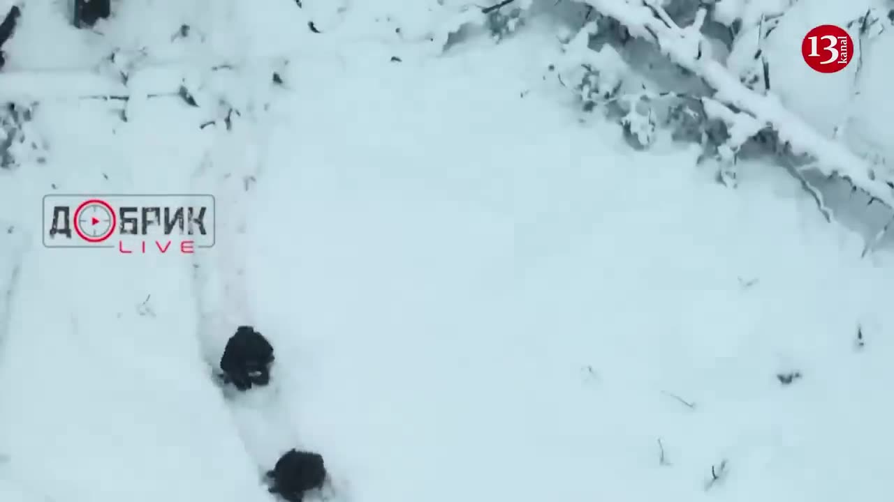 Over 20 Russians attack position of 2 Ukrainian fighters in snowy forest -Ukrainians won't surrender