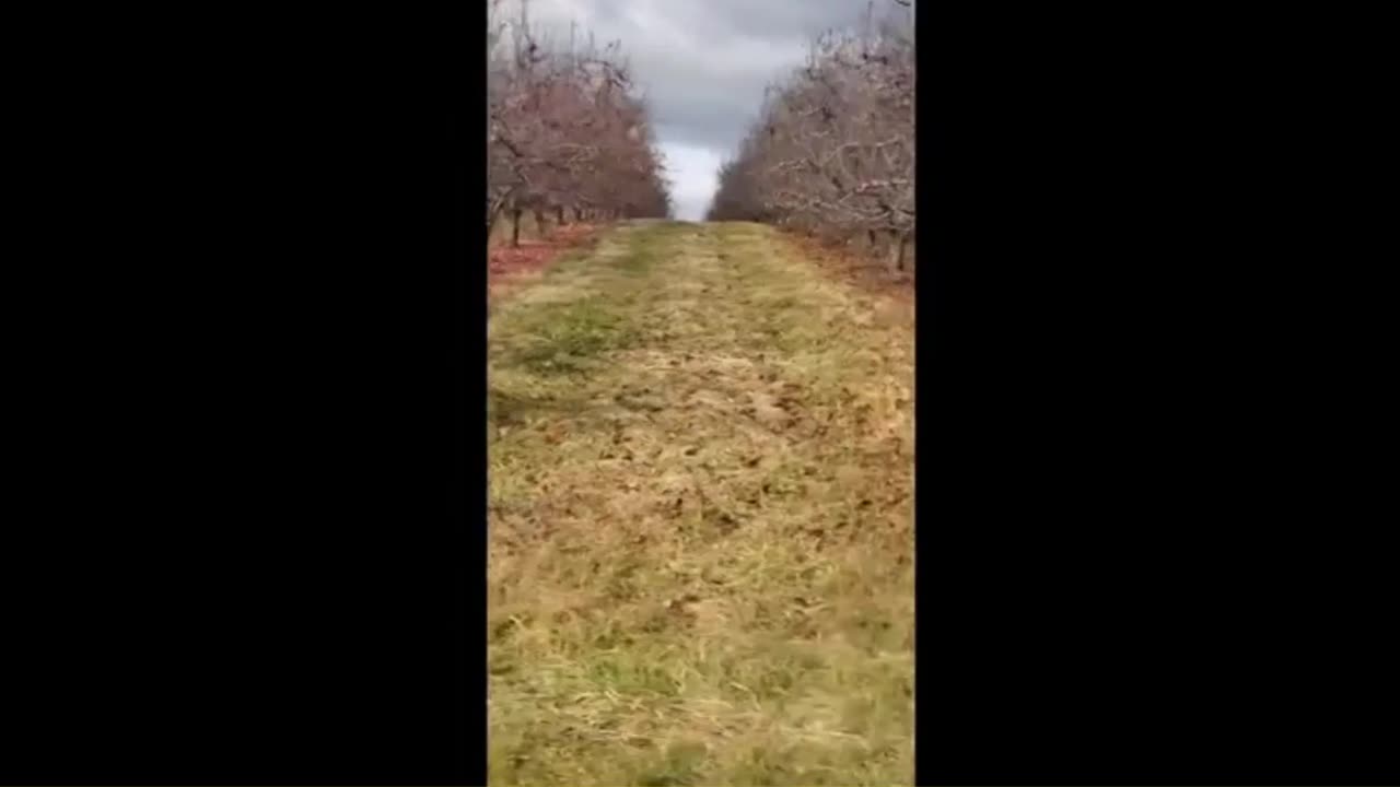 GOVERNMENT GOD FORCE PA FARMERS LET APPLES ROT! AGENDA 2030!