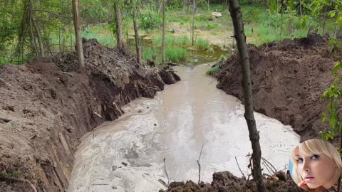 Cat 306 start on the swamp pond extension3