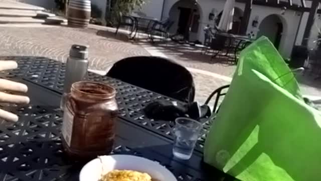 The Dream Diet Described.