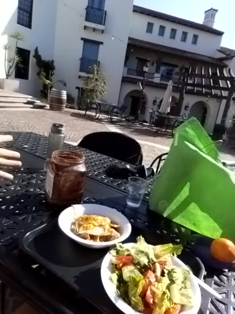 The Dream Diet Described.