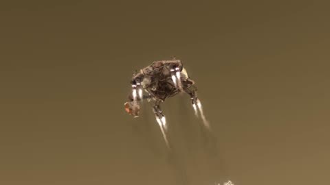 NASA AMAZING VIDEO'S