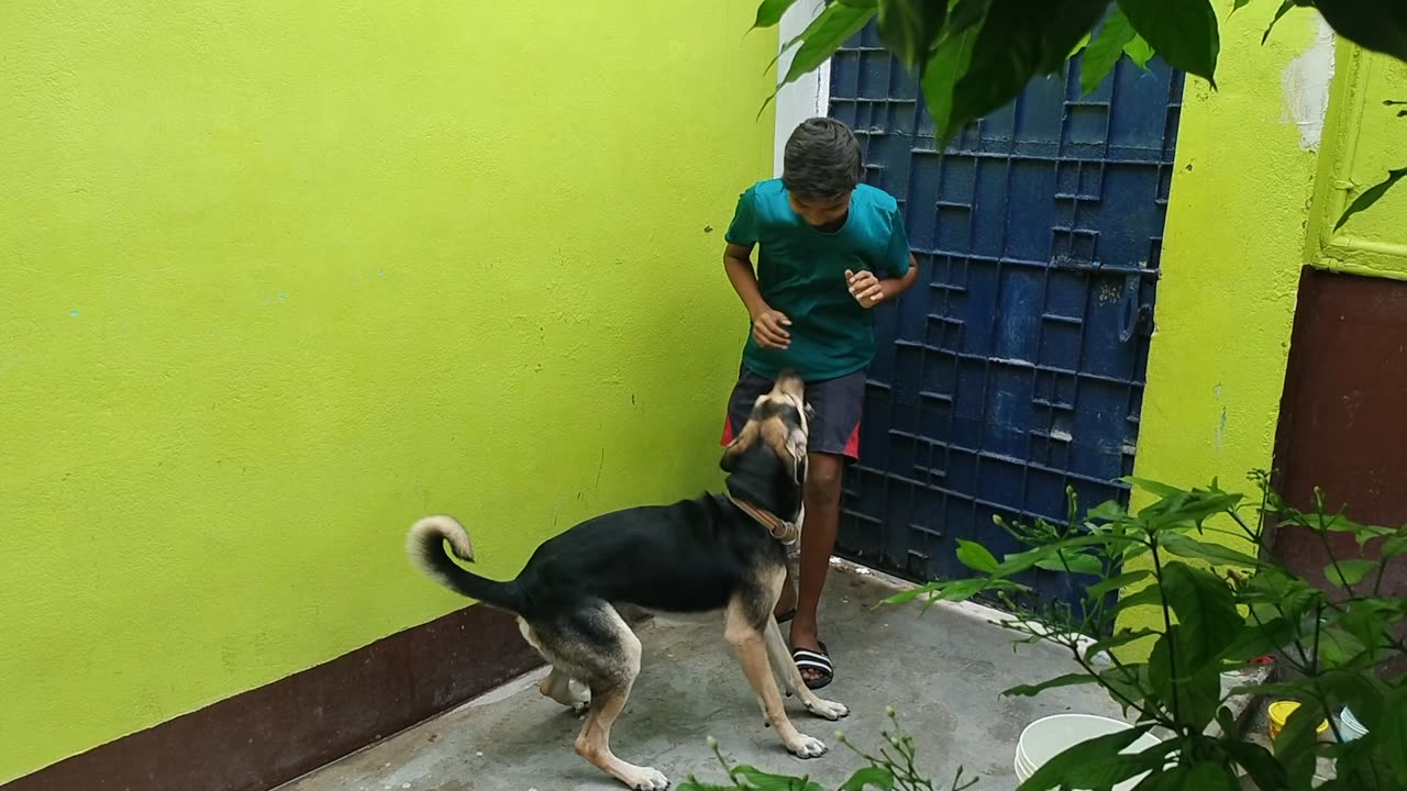 Dog playing with boy #funny