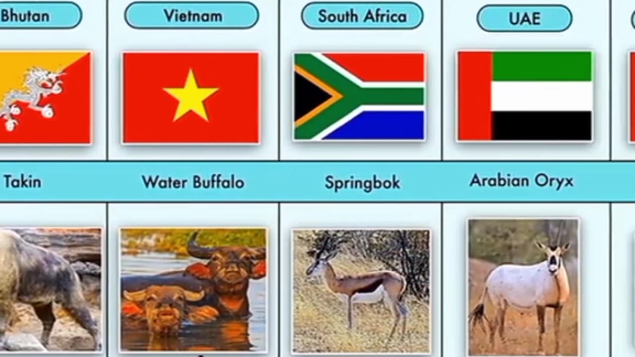 National animal of different countries